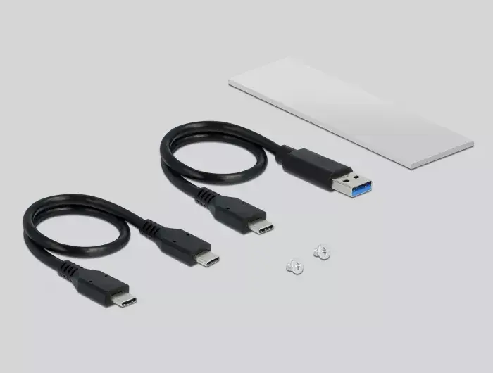 Корпус SSD DeLOCK 42634 Photo 3