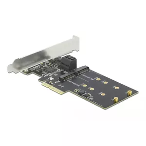 SATA and M.2 PCI Express Card DeLOCK 3 port SATA and 2 slot M.2 Key B