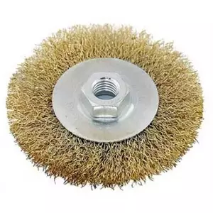 Disc Brush Faster Tools M14 120mm with Brass Bristles