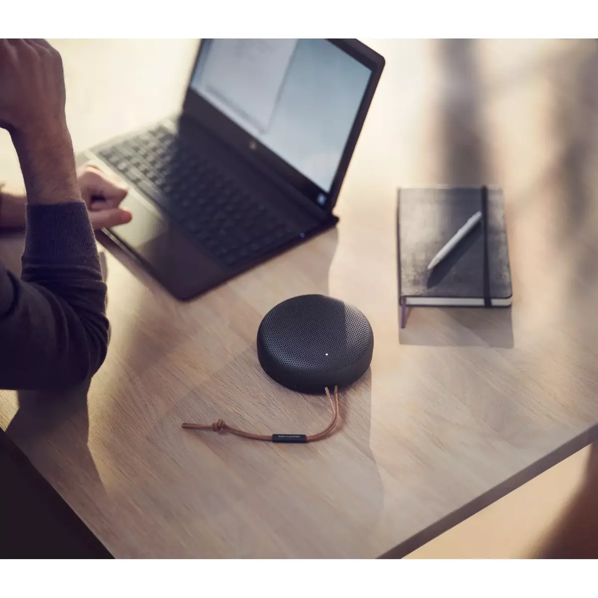 Динамик Bang & Olufsen Beosound A1 2nd Gen Photo 19