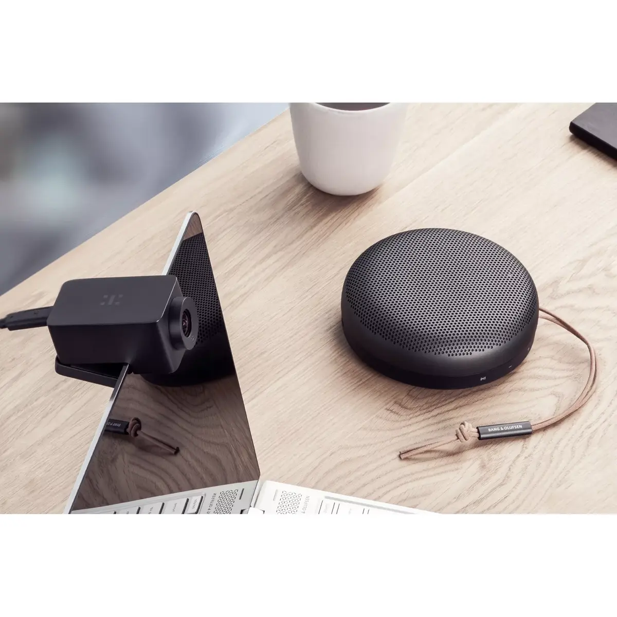 Динамик Bang & Olufsen Beosound A1 2nd Gen Photo 23