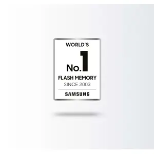 The worlds number one for flash memory