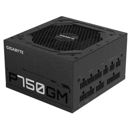GIGABYTE GP-P750GM 4719331551759 Photo 5