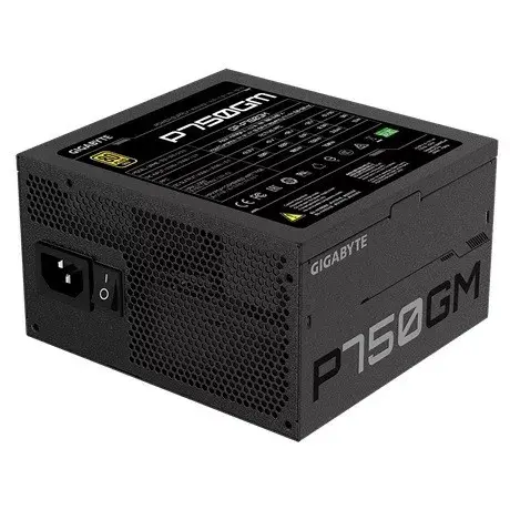 GIGABYTE GP-P750GM 4719331551759 Photo 6
