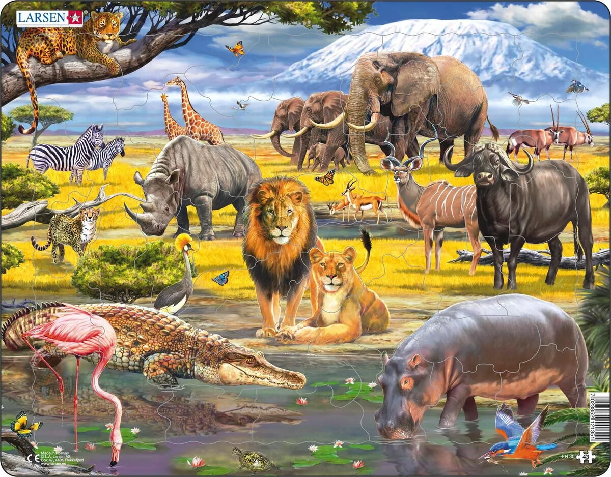 Larsen Maxi LA-FH30 Formu puzle Zoo