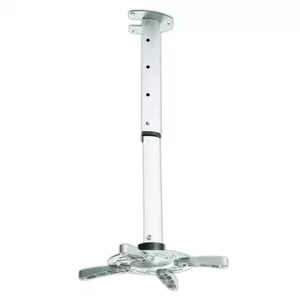 Ceiling Mount ART P-102
