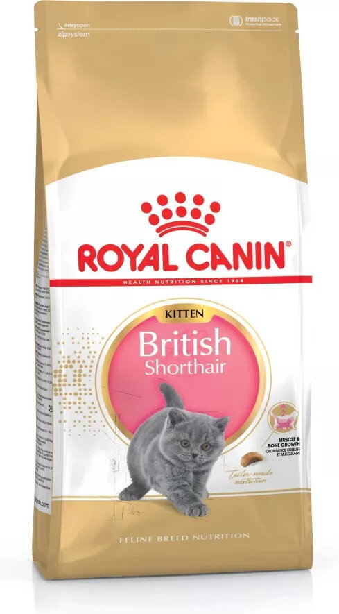 Sausais kaķu barība Royal Canin British