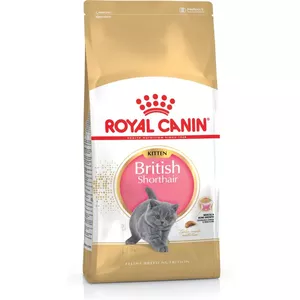 Сухой корм для котят Royal Canin British Shorthair Kitten 2 кг – курица, 38% белка, 20% жира, формула роста