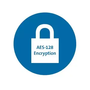 Dual wireless with 128-bit AES encryption