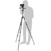 Stativs Manfrotto Befree 3W Live Lever MKBFRLA4BK-3W Photo 2
