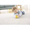 Игрушка для ванны Fisher-Price Everything Baby Watermates Photo 2