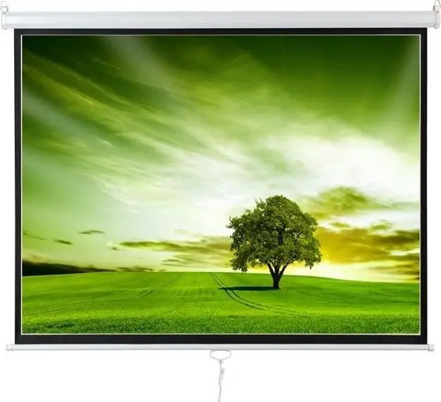 Экран AVELI XRT-00101 150×113 см Photo 4