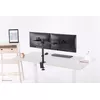 Neomounts galda monitoru roka FPMA-D550DBLACK Photo 17
