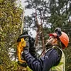 Jaudīgs dzīvžogu trimmeris DeWALT DCMHT563N-XJ Photo 7