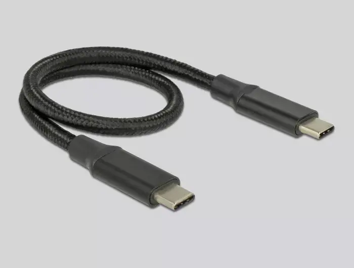 SSD enclosure DeLOCK External USB Type-C Combo Enclosure Photo 5