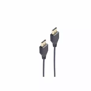 Кабель DisplayPort ShiverPeaks BS10-49015 0.5 м Черный