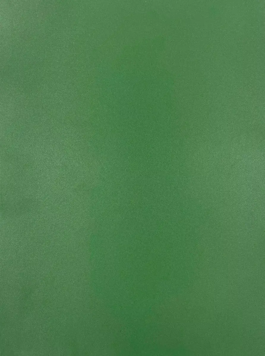 Защитная плёнка Evelatus Universal Color Shinning Photo 1