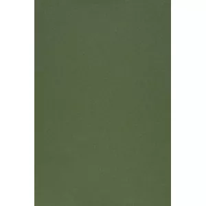 Screen protect Evelatus Universal Film — Color Shinning Army Green