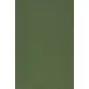 Защитная плёнка Evelatus Universal Color Shinning Photo 2