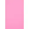 Evelatus Universal Color Shinning Light Pink plēve Photo 2