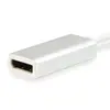 USB Type C to DisplayPort Adapter Equip 133458 Photo 2