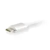 USB Type C to DisplayPort Adapter Equip 133458 Photo 3