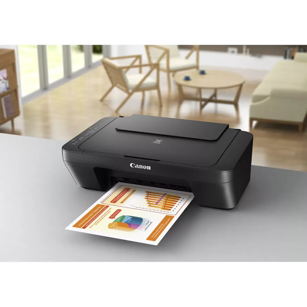 Canon PIXMA MG2555S 0727C026 Photo 6