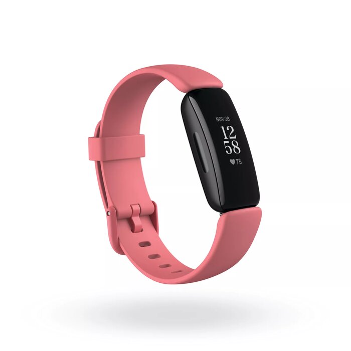 Fitbit FB418BKCR Photo 1