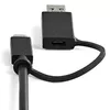 Docking Station StarTech.com DK30C2DPEPUE Photo 9