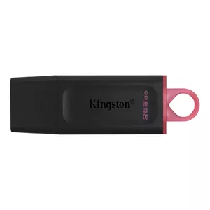 Kingston Technology DataTraveler Exodia USB флеш накопитель 256 GB USB тип-A 3.2 Gen 1 (3.1 Gen 1) Черный