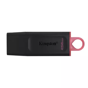 USB zibatmiņa Kingston 256GB USB Type-A 3.2 DataTraveler Exodia