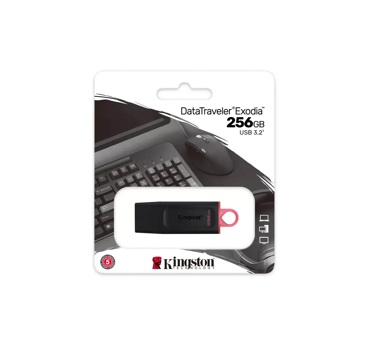 USB флеш-память Kingston 256GB DataTraveler Exodia Photo 6