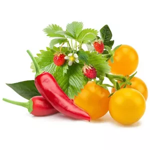 Plant Pod Click & Grow PPMFVX9 — 9 pcs Fruit & Veggie Mix indoor planting cartridges