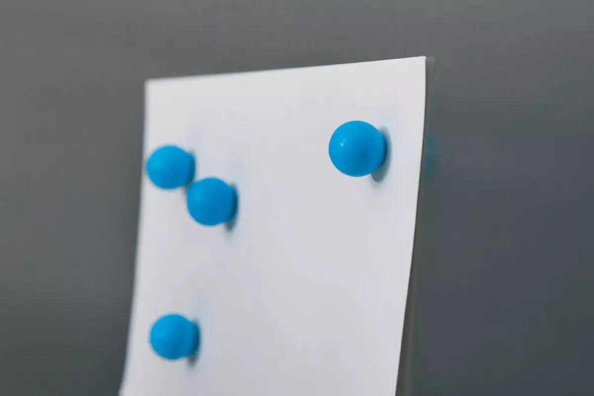 Ledusskapja magnets MAUL 6167535 Photo 6