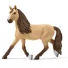 Fermas Schleich HORSE CLUB Lielais zirgu šovs Photo 15