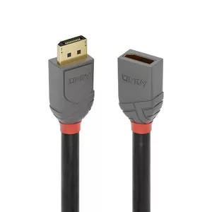 DisplayPort pagarināšanas kabelis Lindy 1m