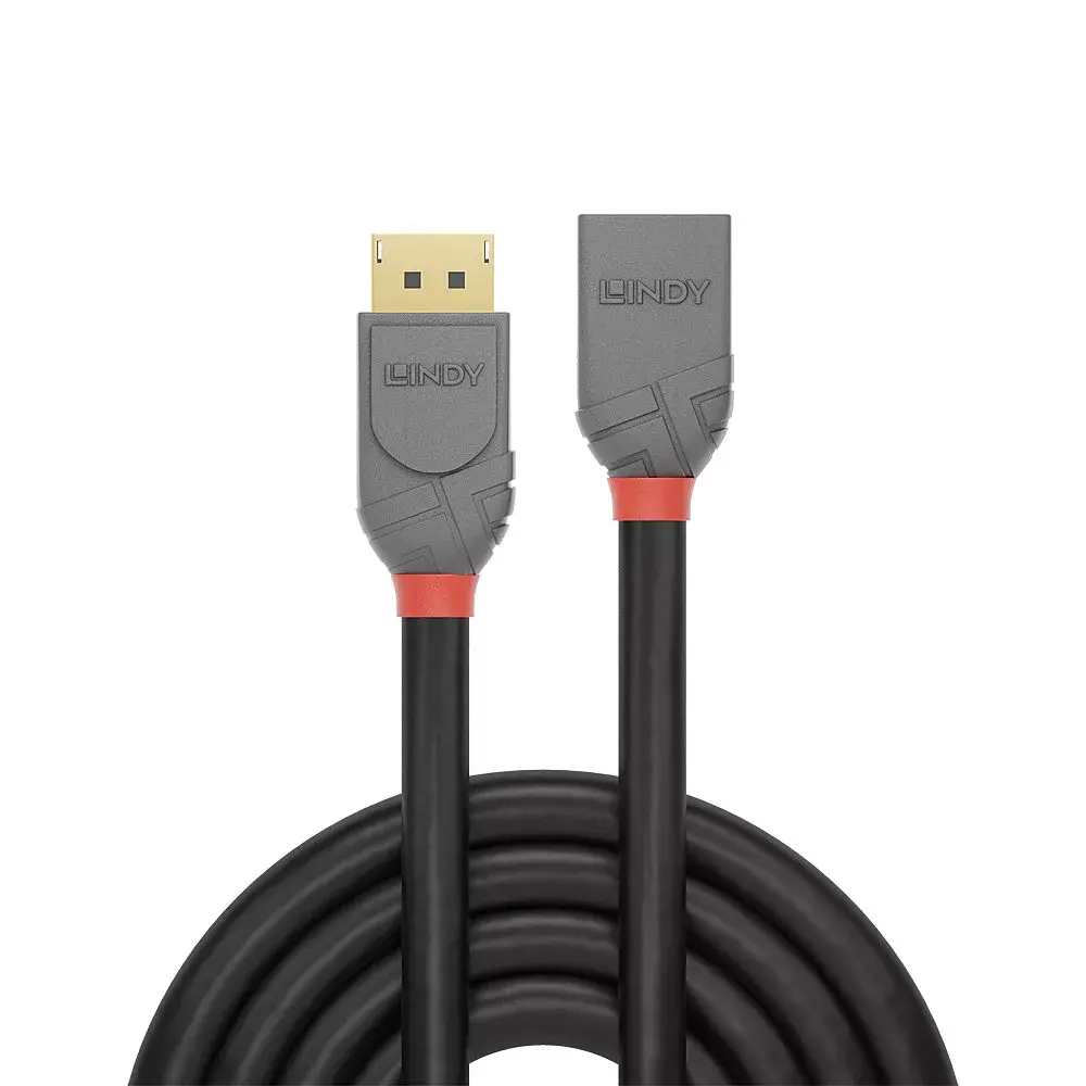 DisplayPort pagarināšanas kabelis Lindy 1m Photo 2