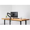 Monitor Mount Digitus DA-90394 Photo 3