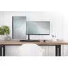 Dual Monitor Clamp Mount Digitus DA-90400 Photo 4