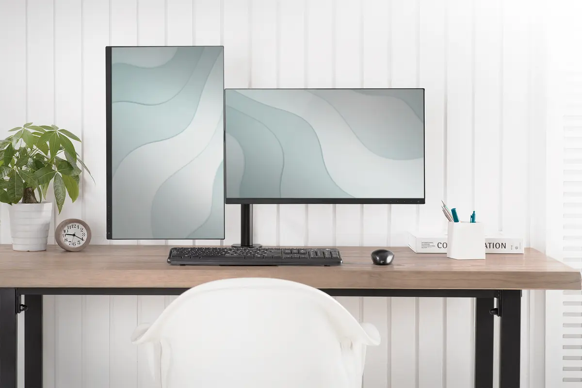 Digitus Dual Monitor Desk Mount DA-90400 Photo 4