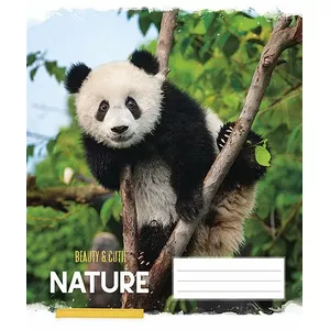 Schoolboy Notebook lined 48 sheets, model 100-09179