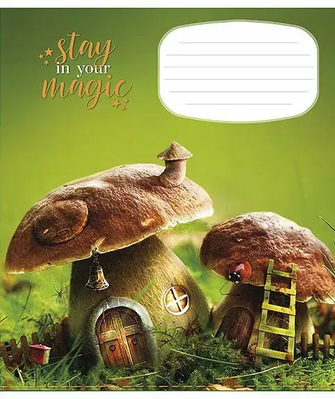 Notebook Burtnīca Line B5, 18 pages Photo 5