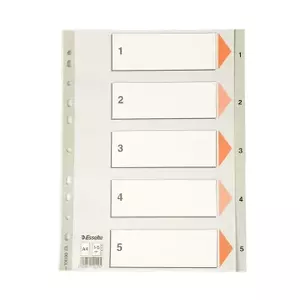 Numeric tab index Esselte 100103