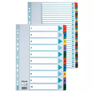 Esselte Mylar Index, A4, 1-20