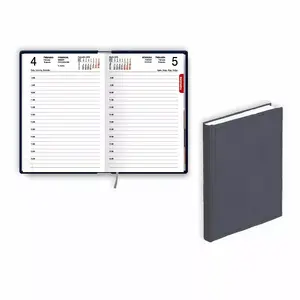 balta eko 2021 Pocket Diary EKO Mono, Day per Page, Balacron Cover, Grey