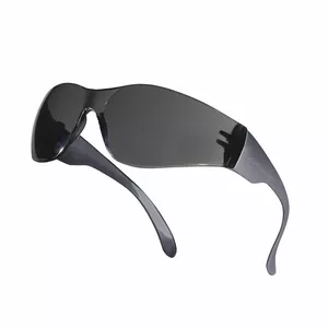 Delta Plus Brava2 Safety Glasses, Smoke Lens