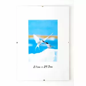 Photo frame insert A4 SAVEX 21 x 29.7 cm — SAVEX 200-09115, without outer frame