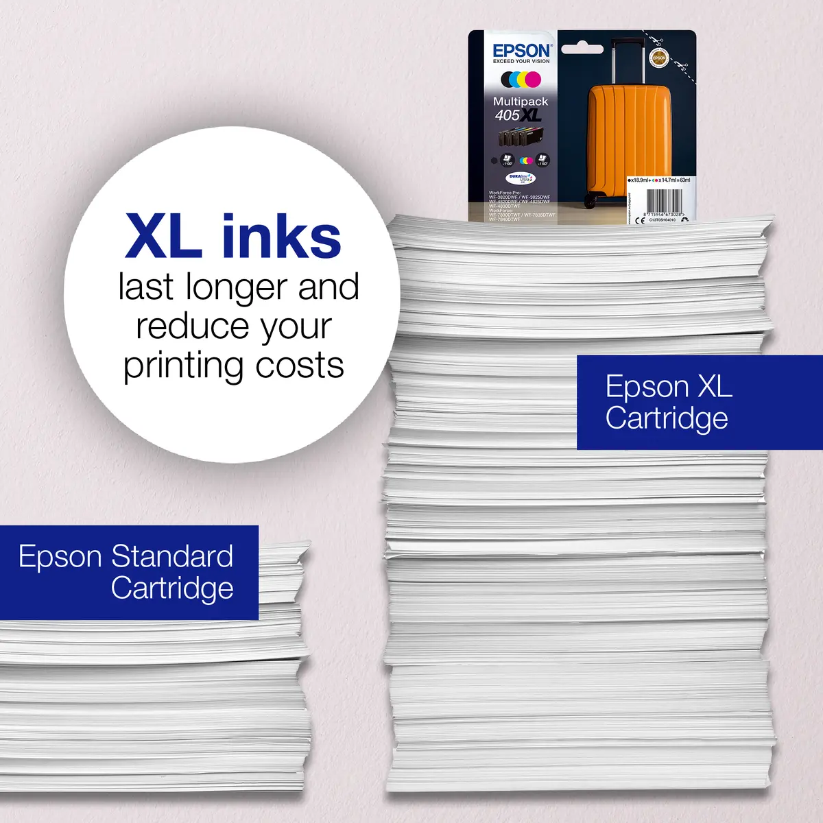 Epson 405 Suitcase DURABrite Ultra Multipack чернила Photo 3
