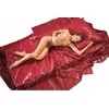 Виниловая простыня fetish collection 02504220000 Photo 2