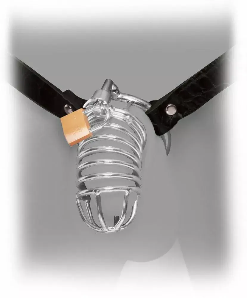 Chastity device Pipedream FFE Extreme 05404630000 Photo 3